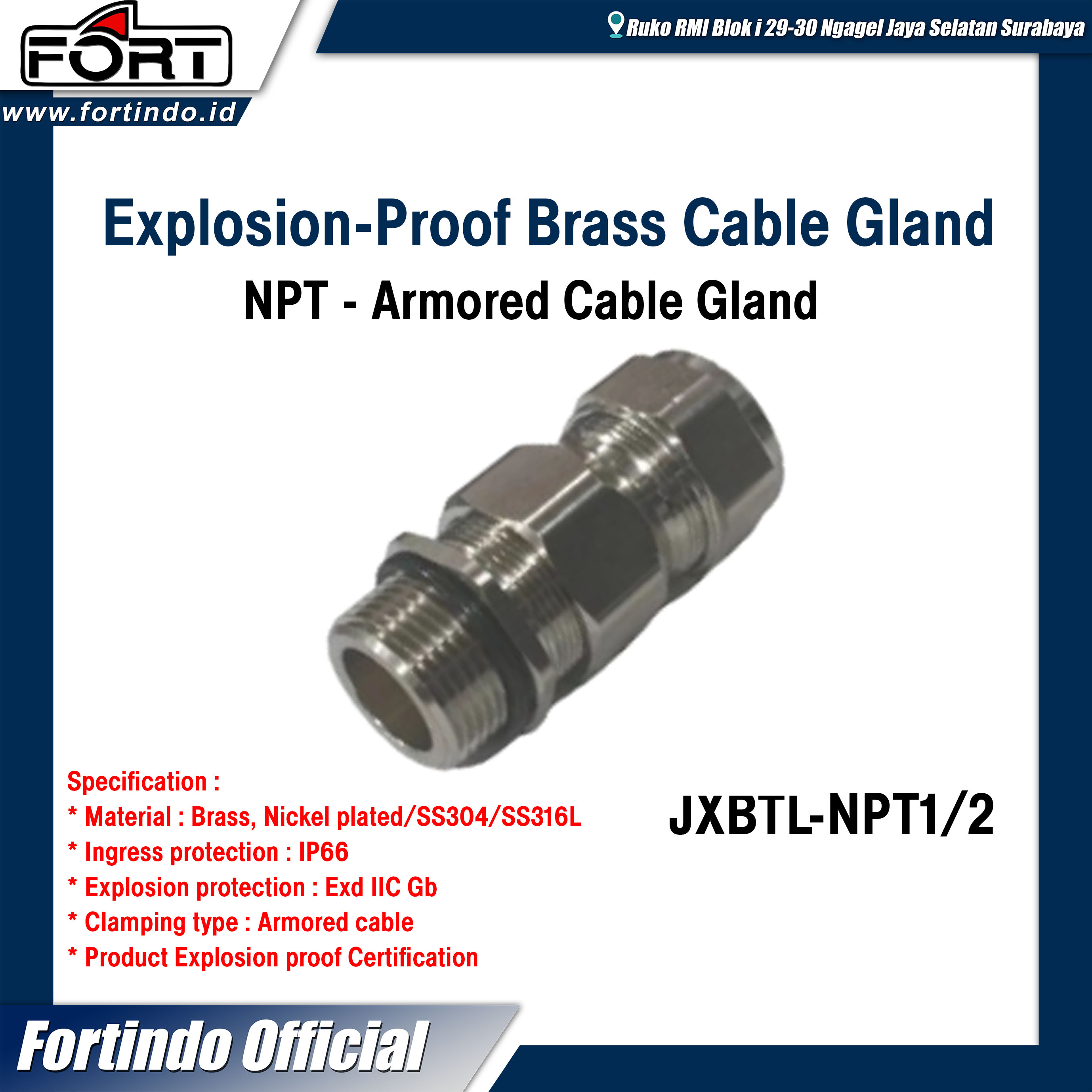 JXBTL-NPT1 2